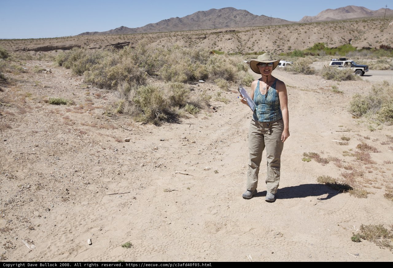 Desert Explorer in a Blue Cowboy Hat