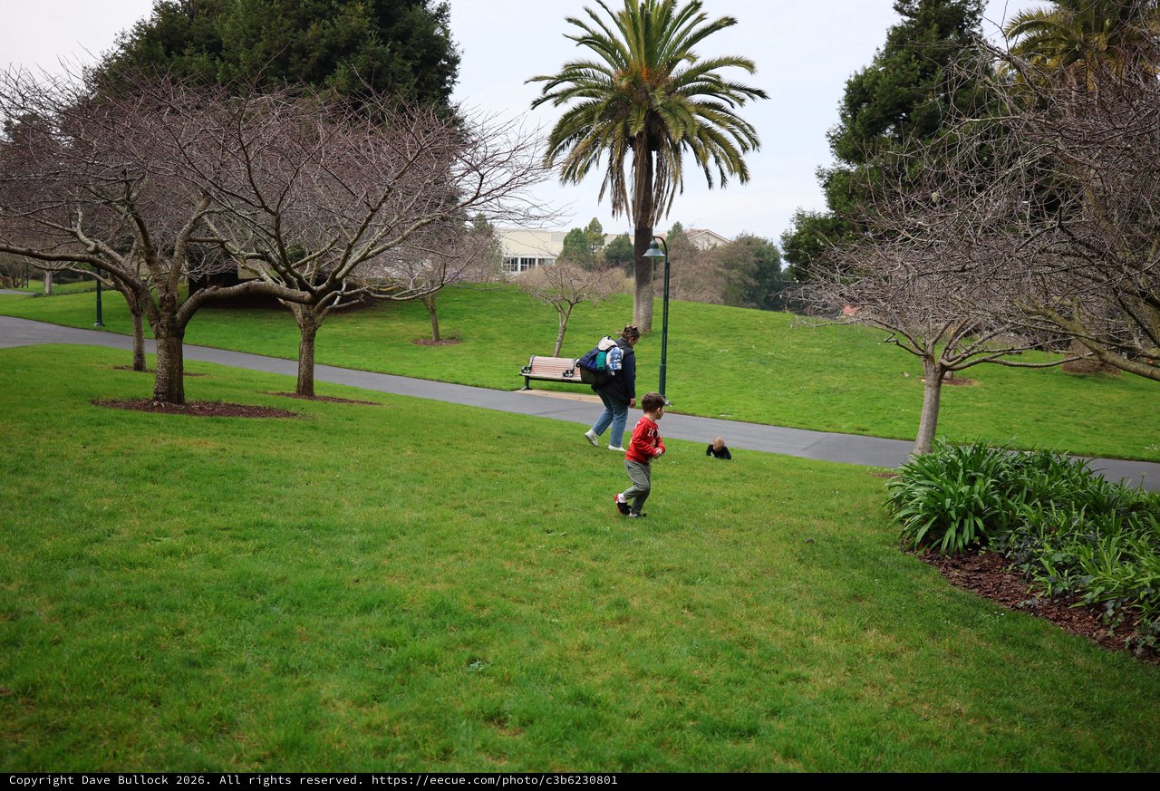 Family Playtime on a Winter Park Hillside