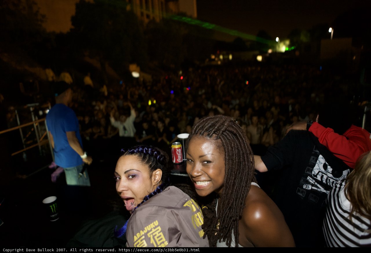 Rocking out at the EDC concert