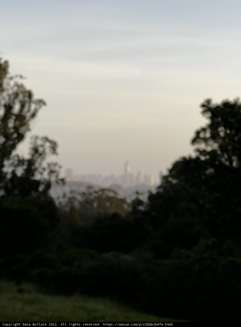 City Skyline in the Mist