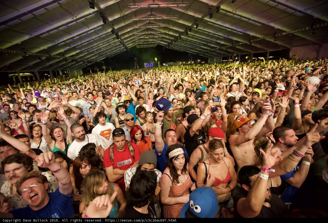 Coachella Crowd