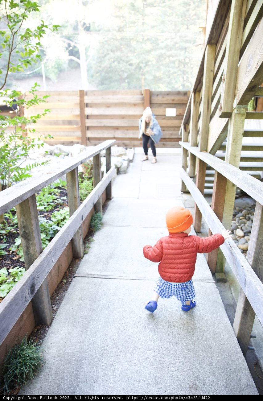 Morning Wander on the Wooden Walkway