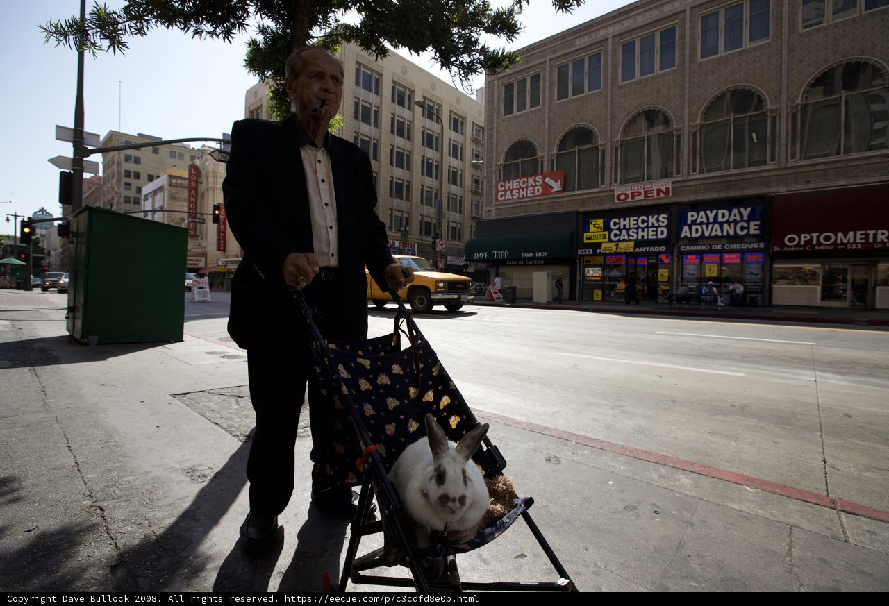 A Man and His Best Friend Enjoy a Walk Through the City