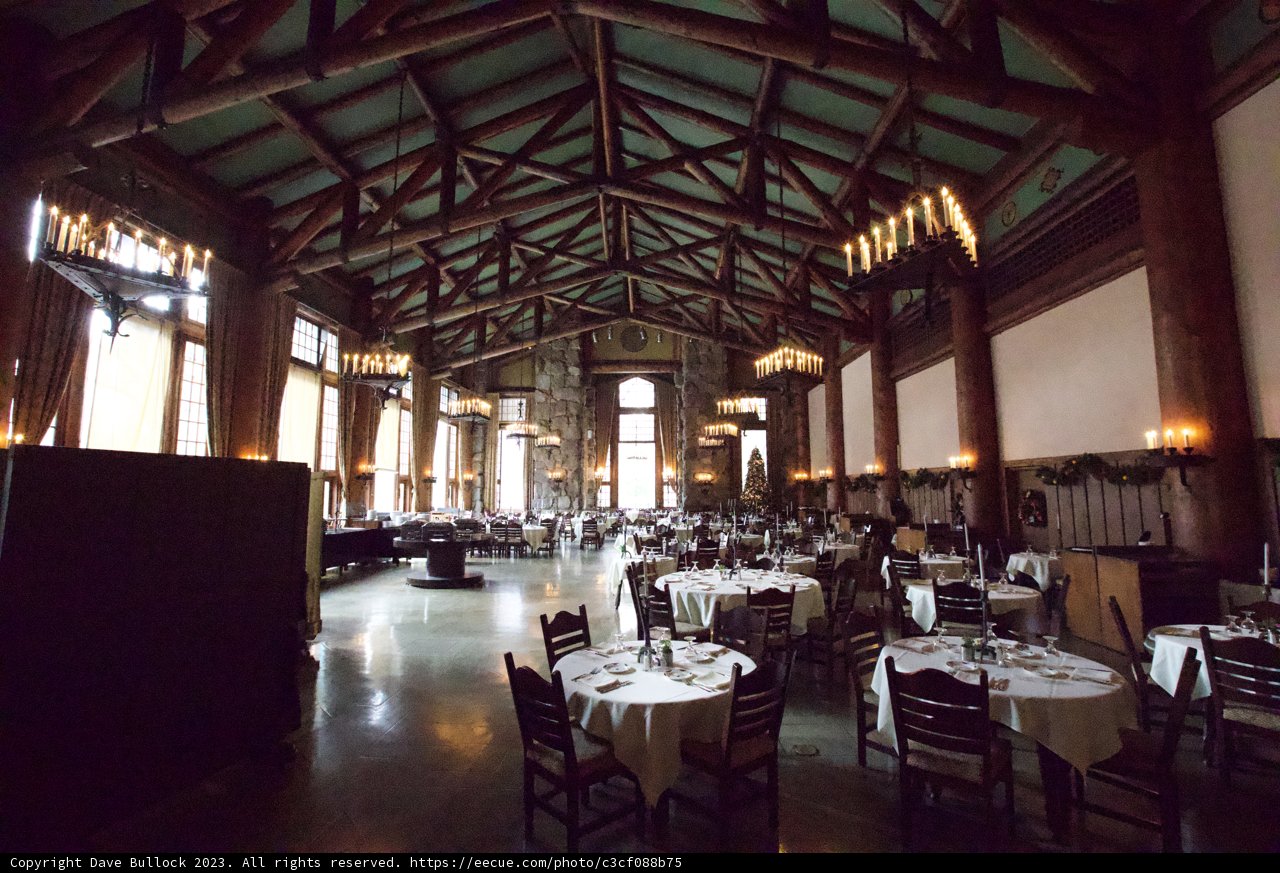 Serenity in Solitude: The Calm Before the Feast