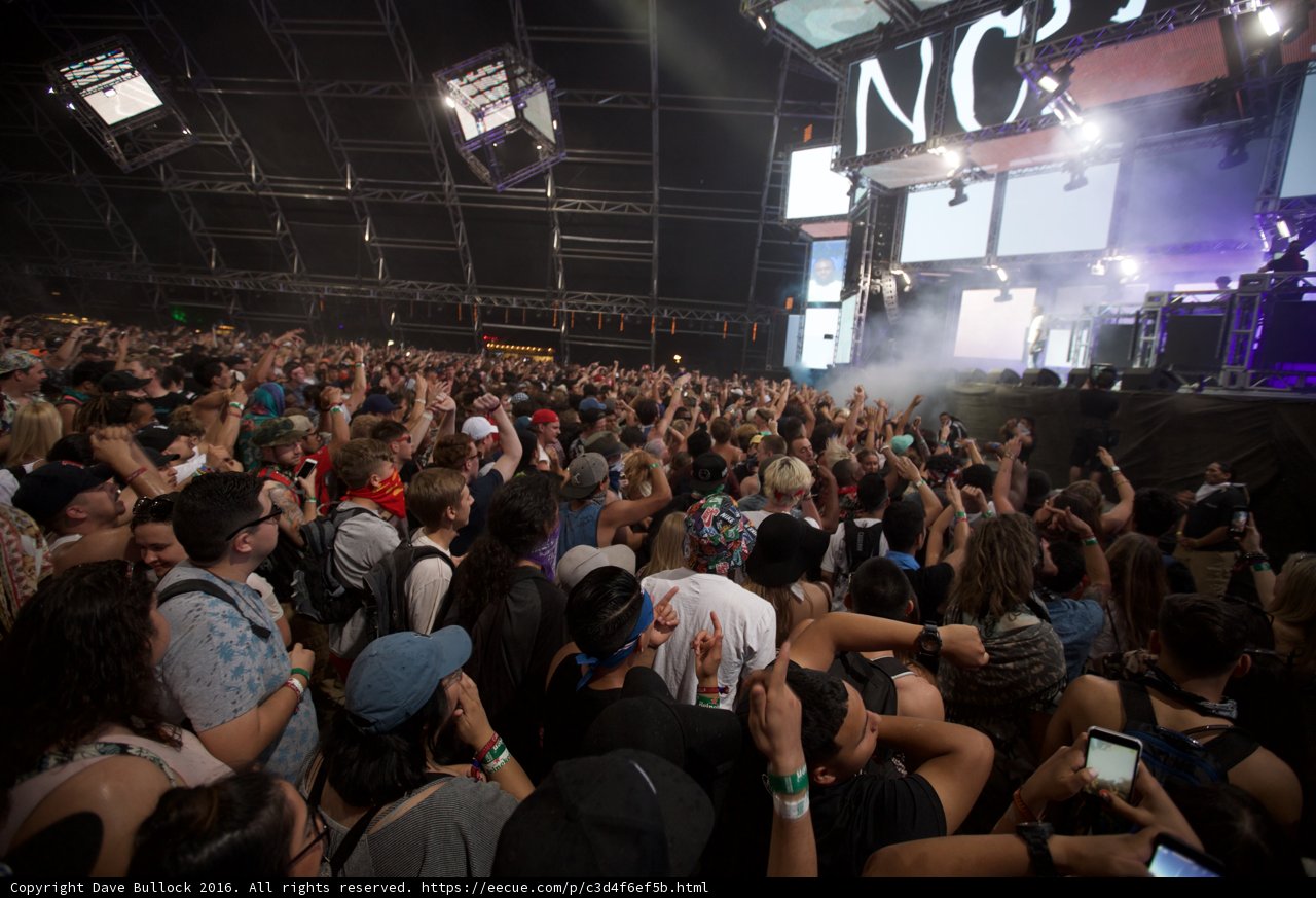 Electric Crowd at Coachella 2016