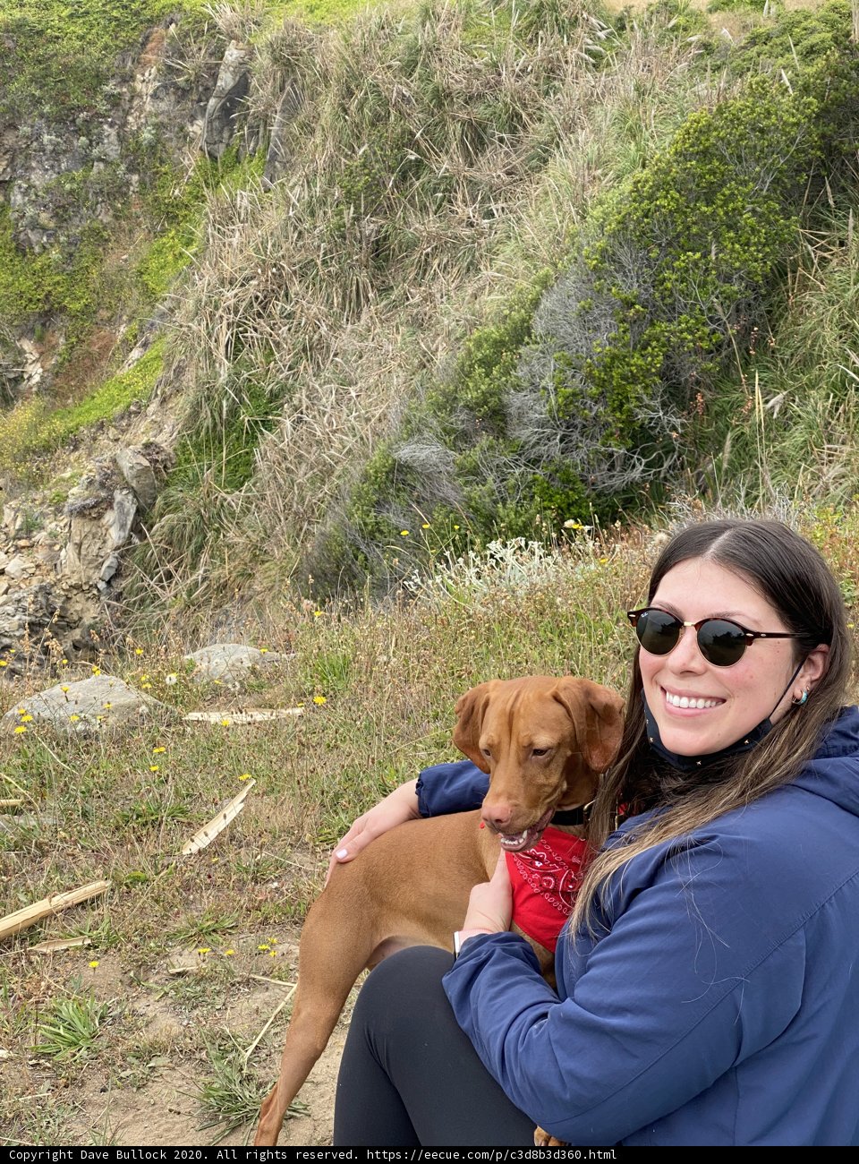 Hillside Hangout