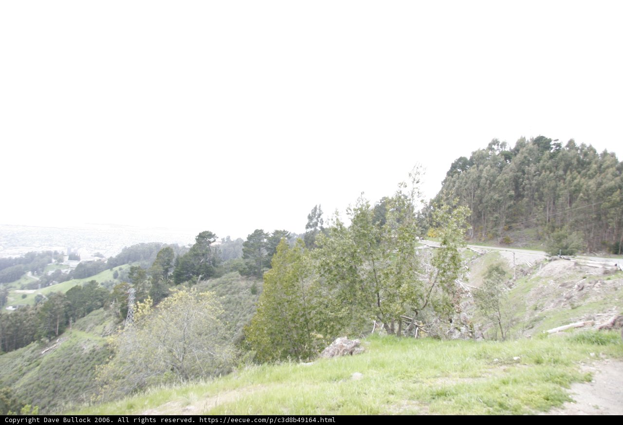 Riding Through the Wilderness