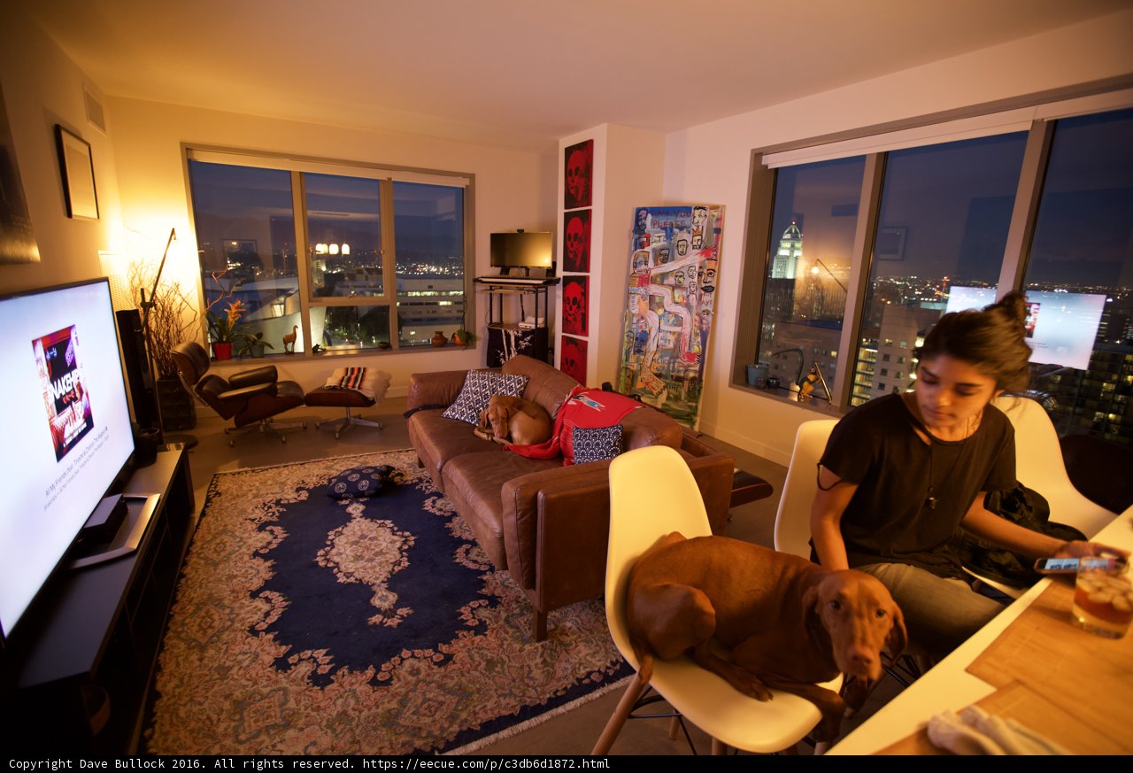 Living Room with Furry Friend