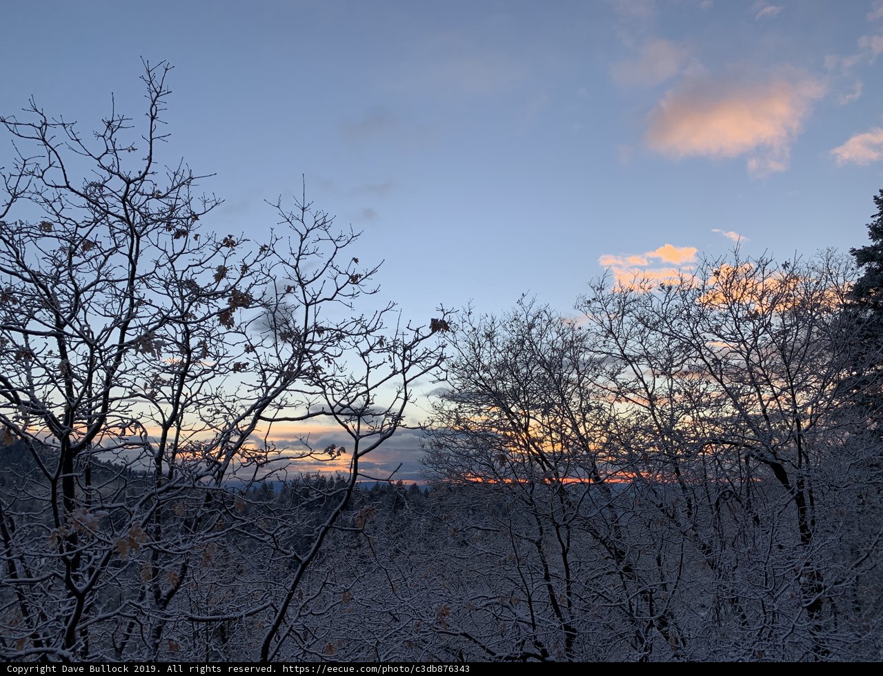 Winter Wonderland