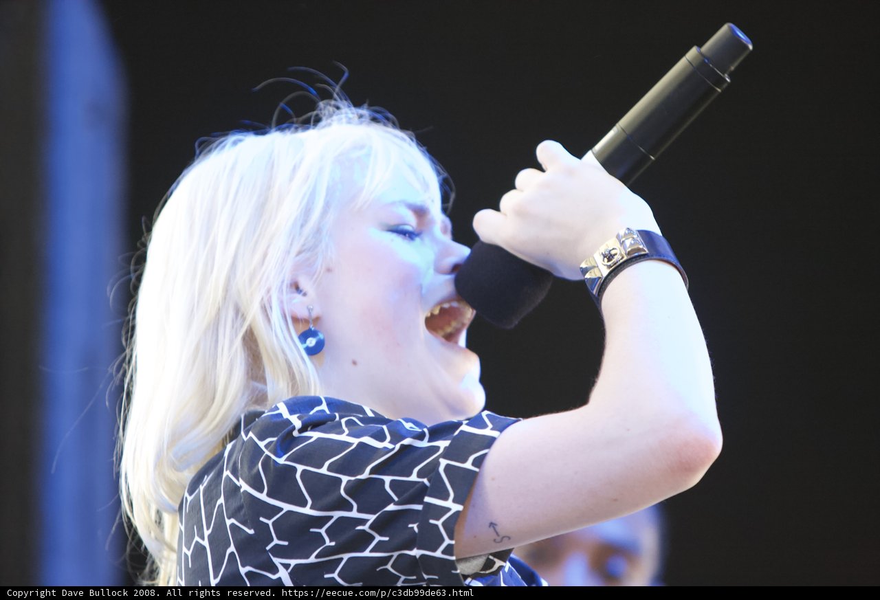 Blondie Rocks the Mic at Coachella 2008