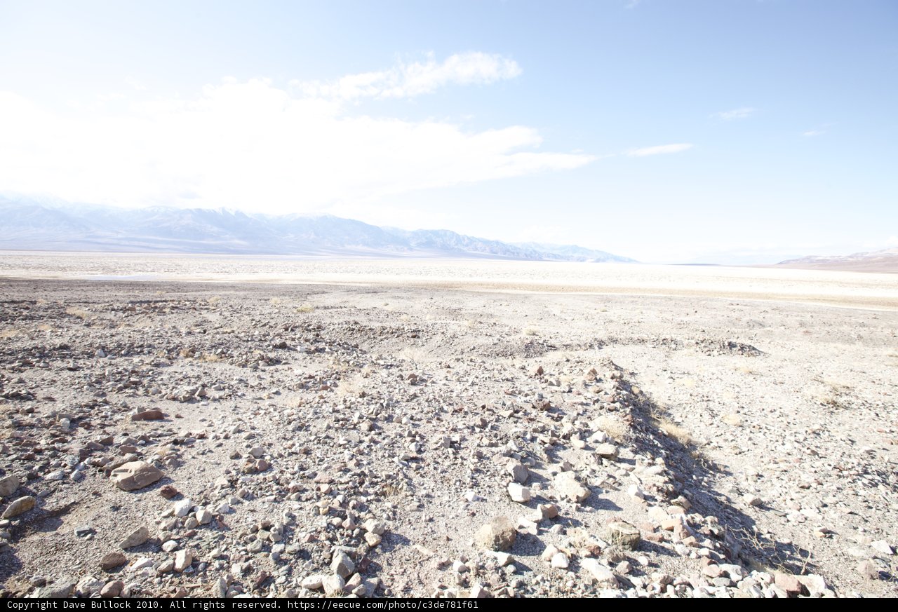 Desolate Beauty