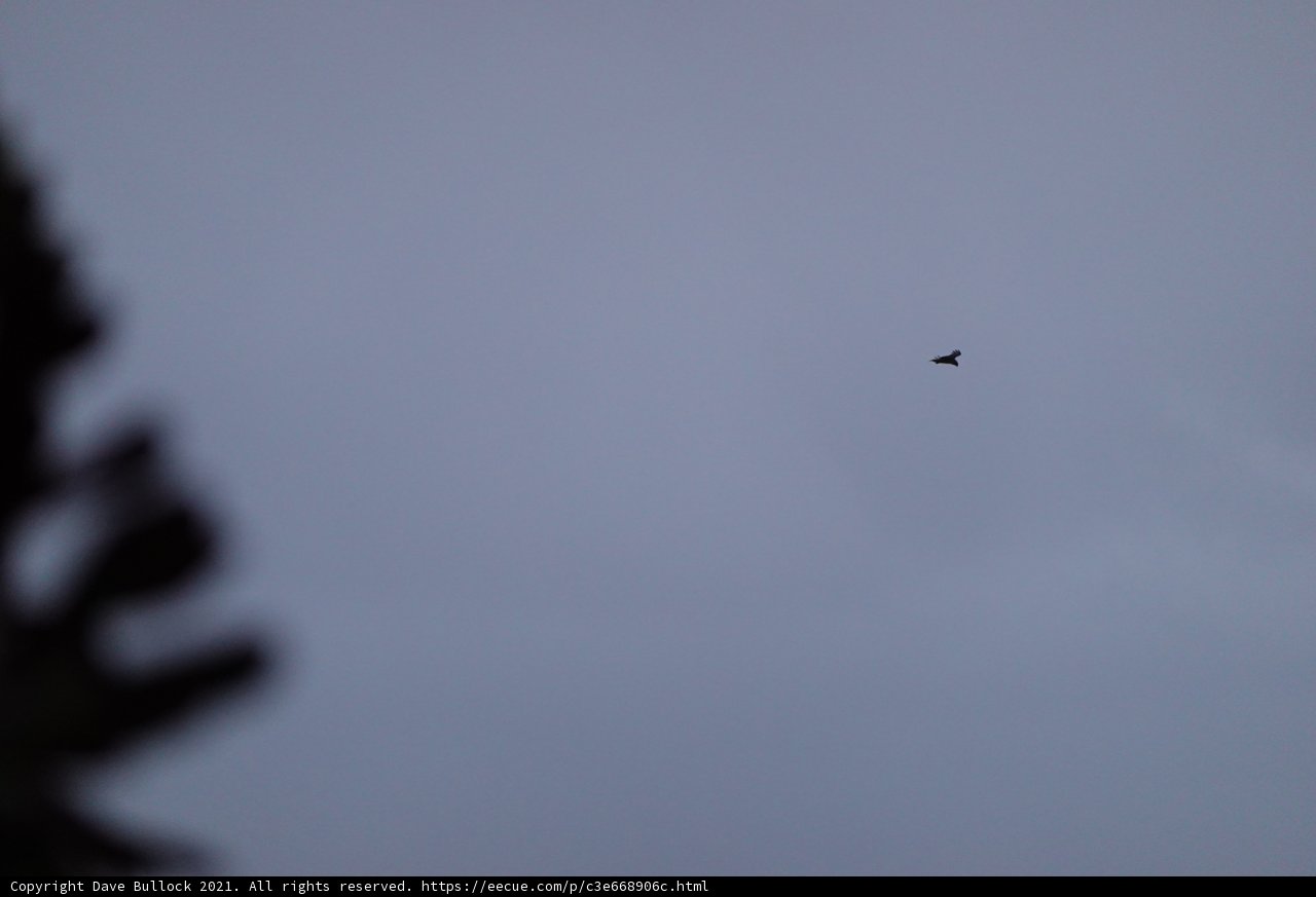 Graceful Flight
