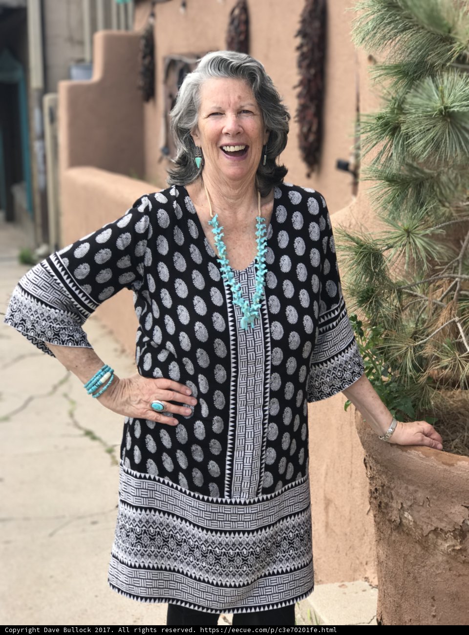 A Fashionable Lady in Santa Fe