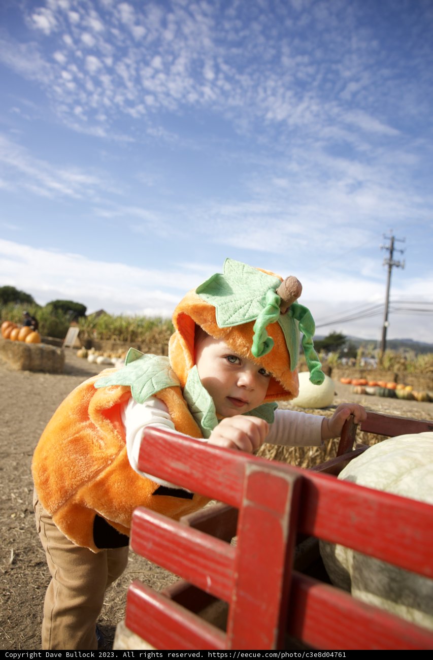 A Playful Afternoon at Halfmoon Bay Pumpkin Patch