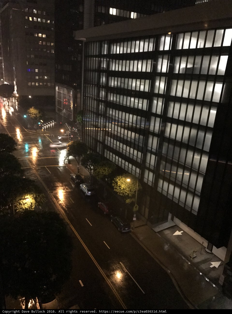 Nightlife in the Metropolis