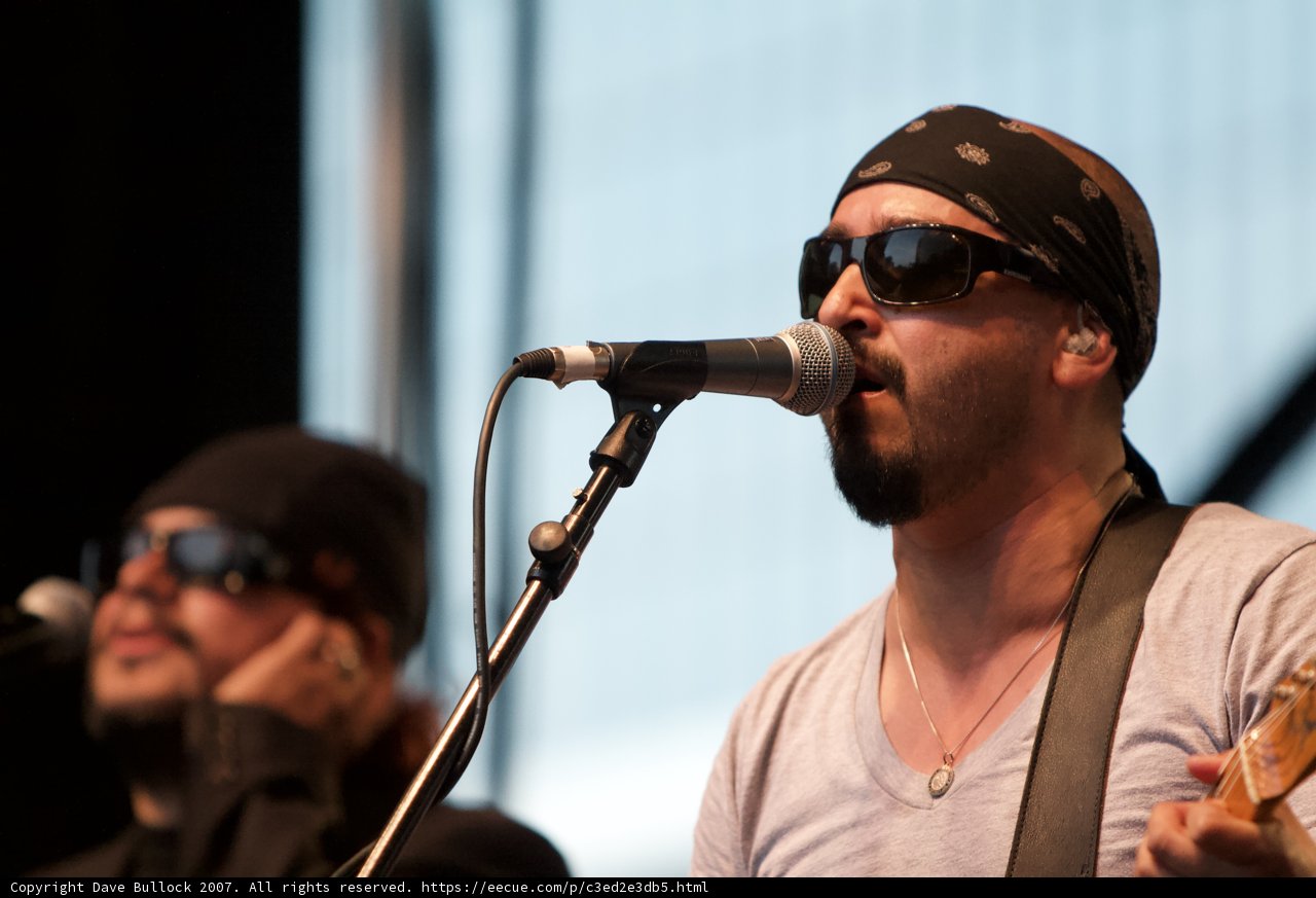 Sunglasses Serenade