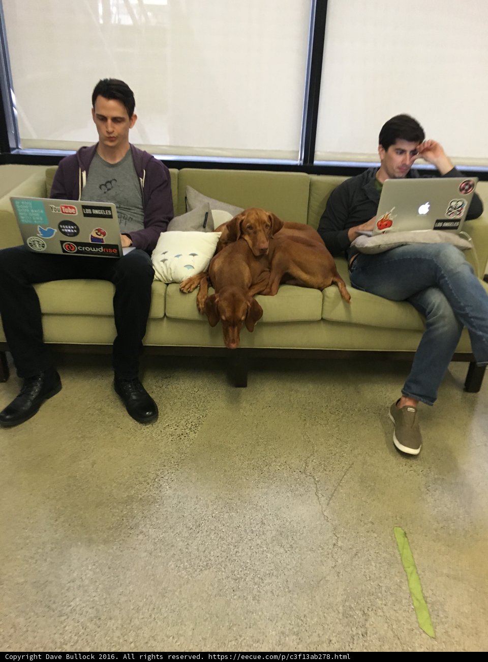 Two Men, One Dog, and a Couch