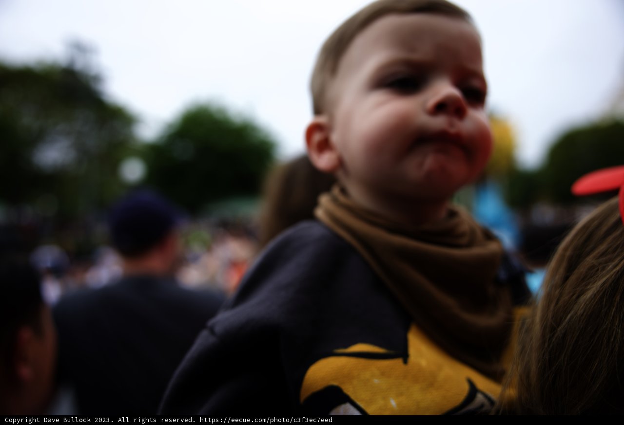 A Joyful Day at Disneyland