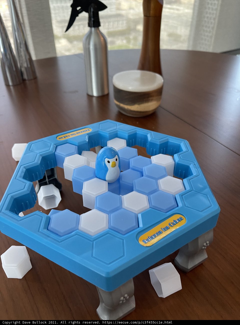 Playtime with a Penguin Toy