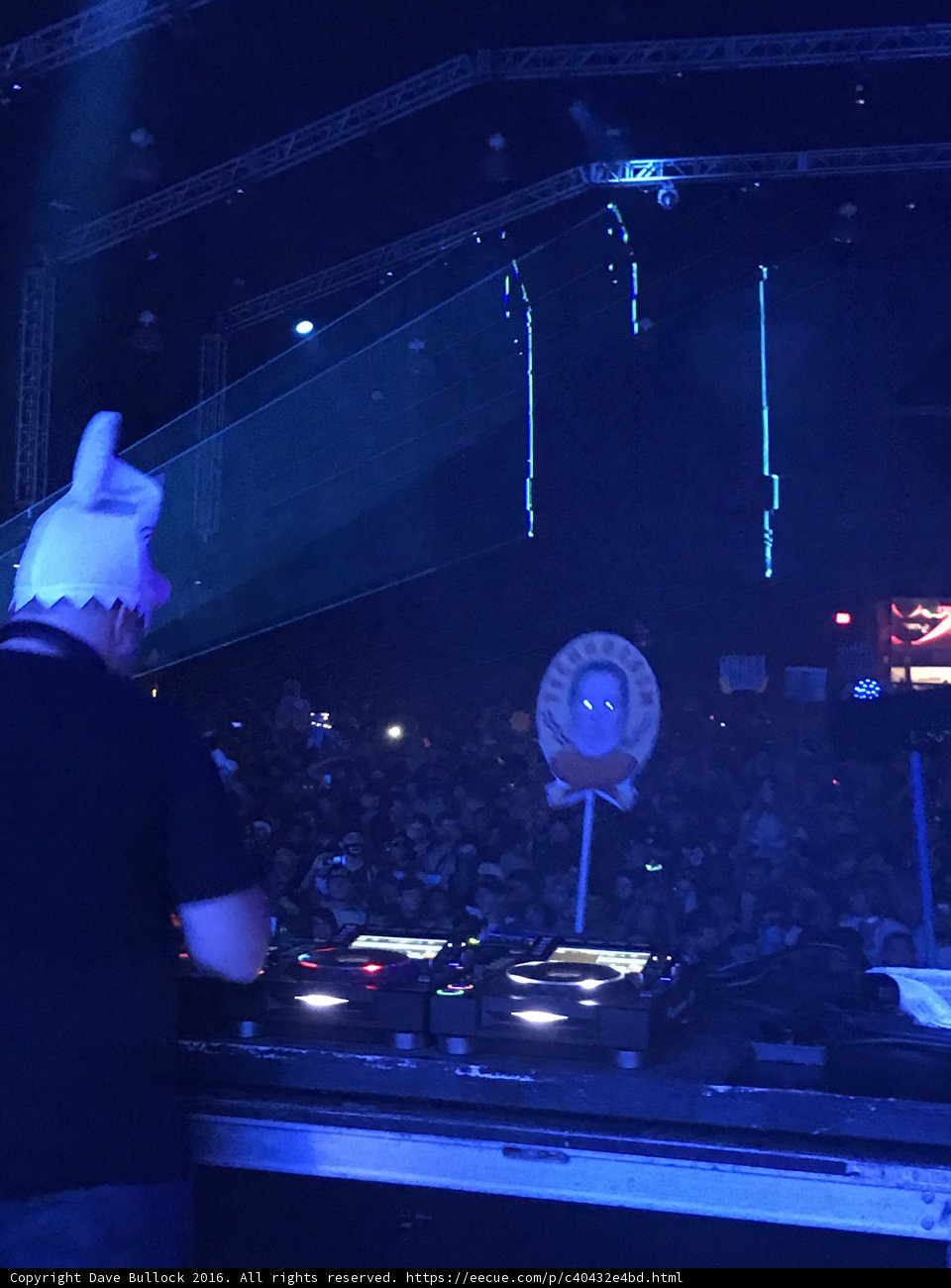 Bunny Deejay Rocks the Night