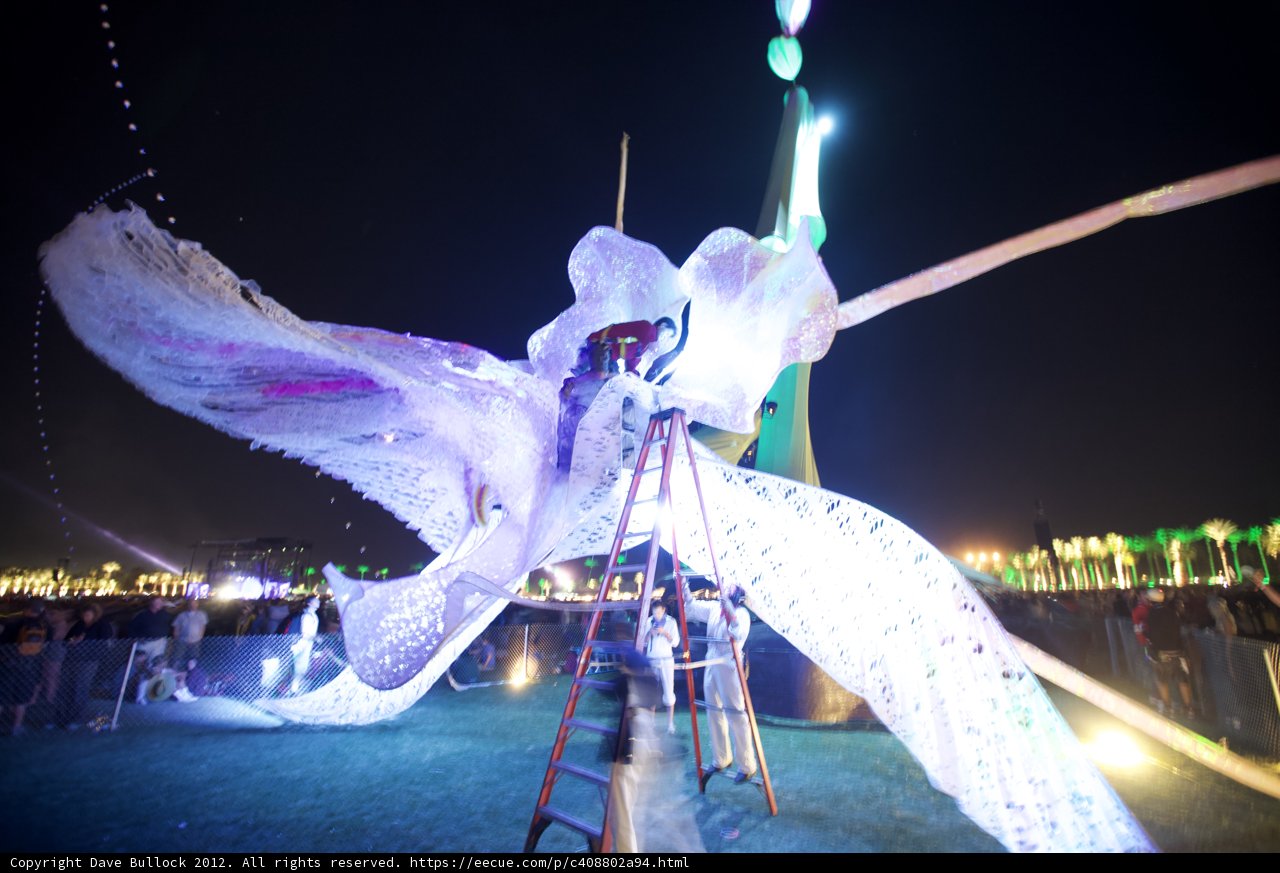 Illuminated Flight