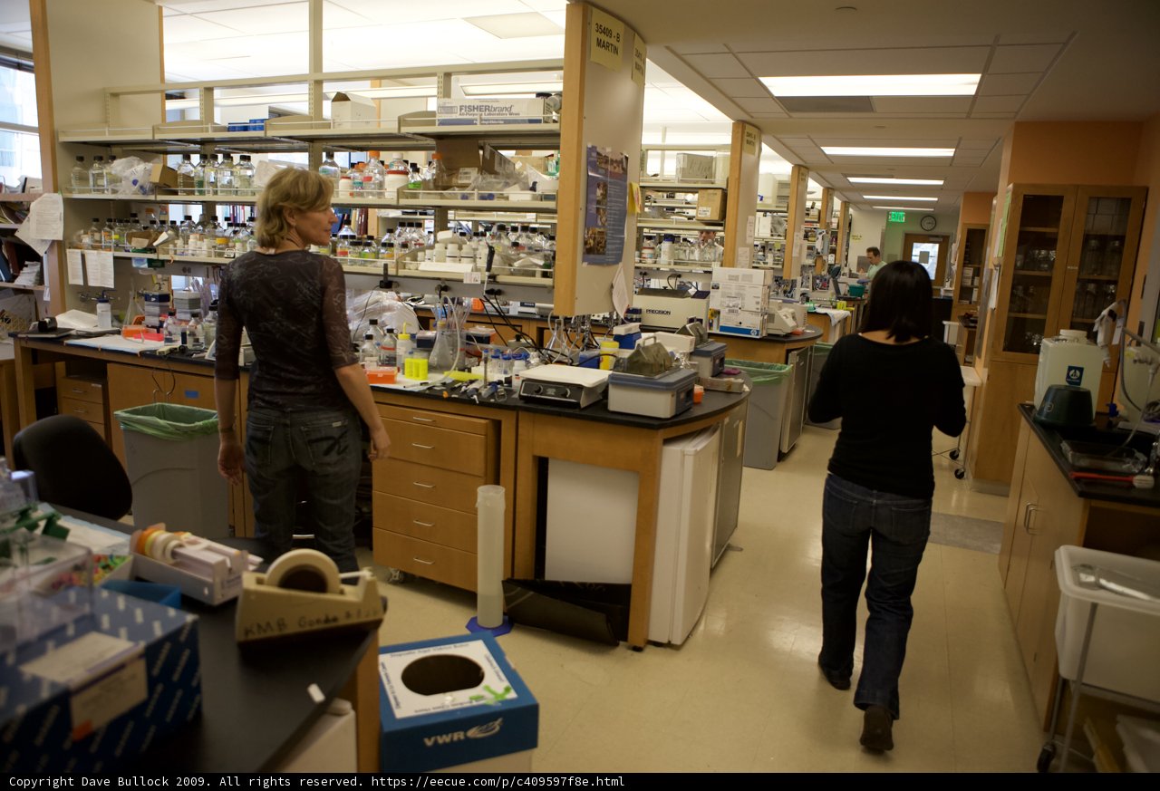 Working in the Lab