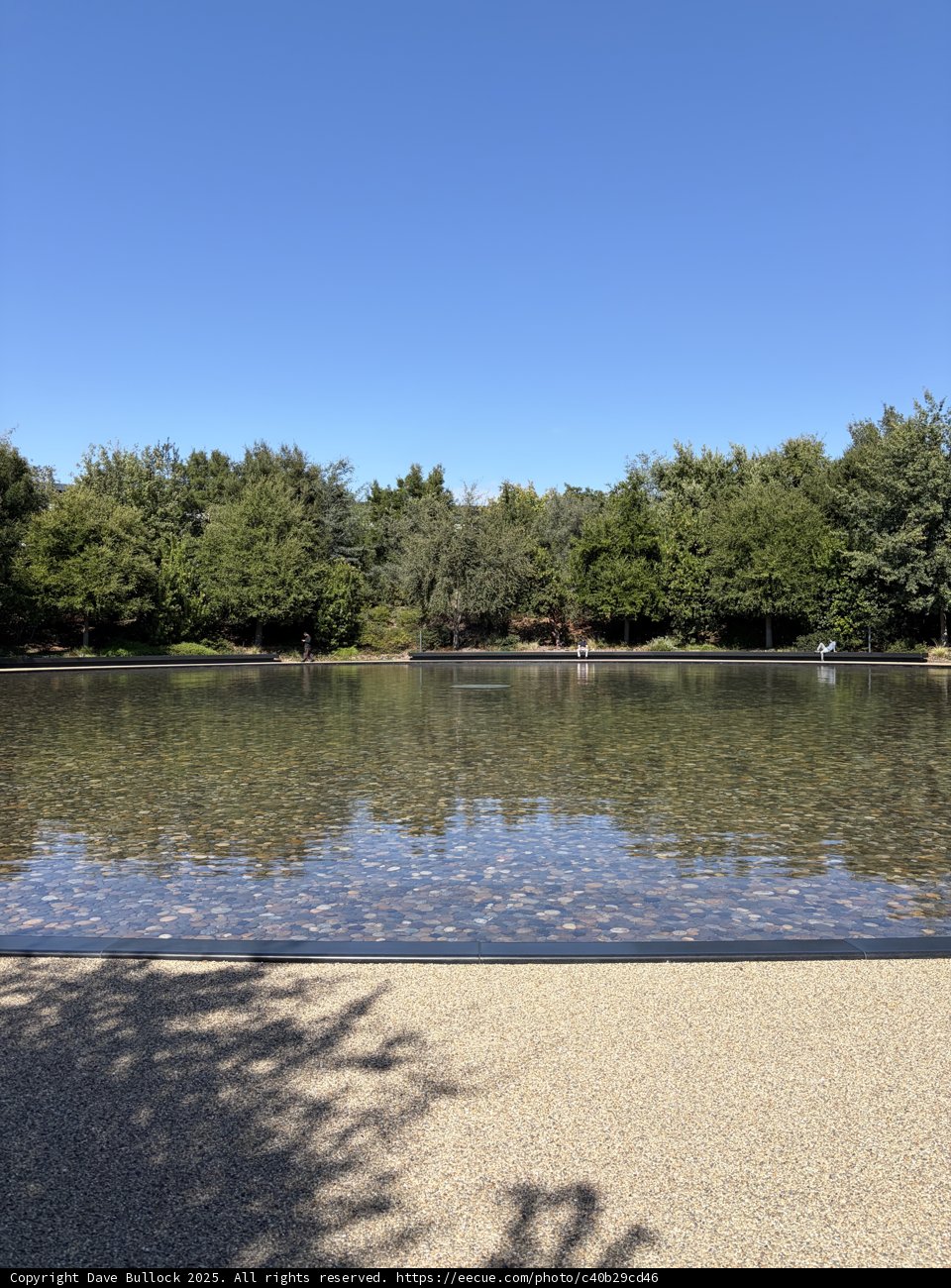 Serenity at Apple Park