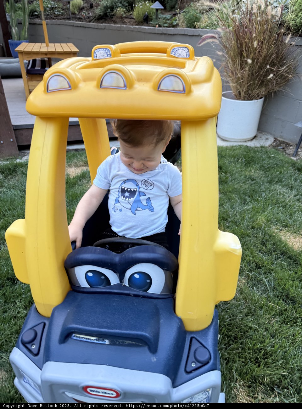 Joyride in the Backyard