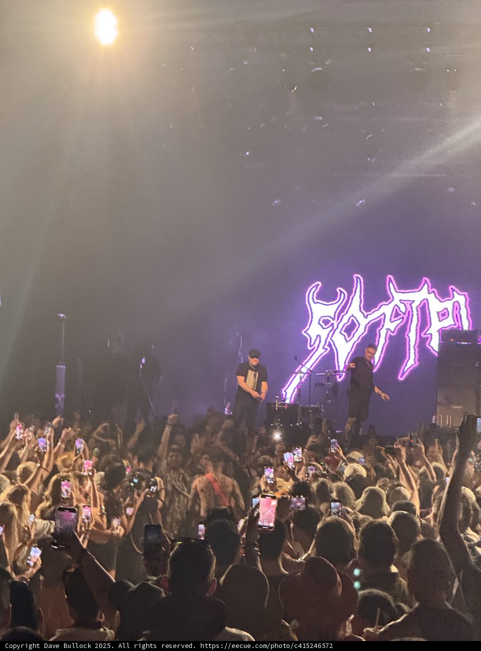 Electric Vibes Under the Spotlight