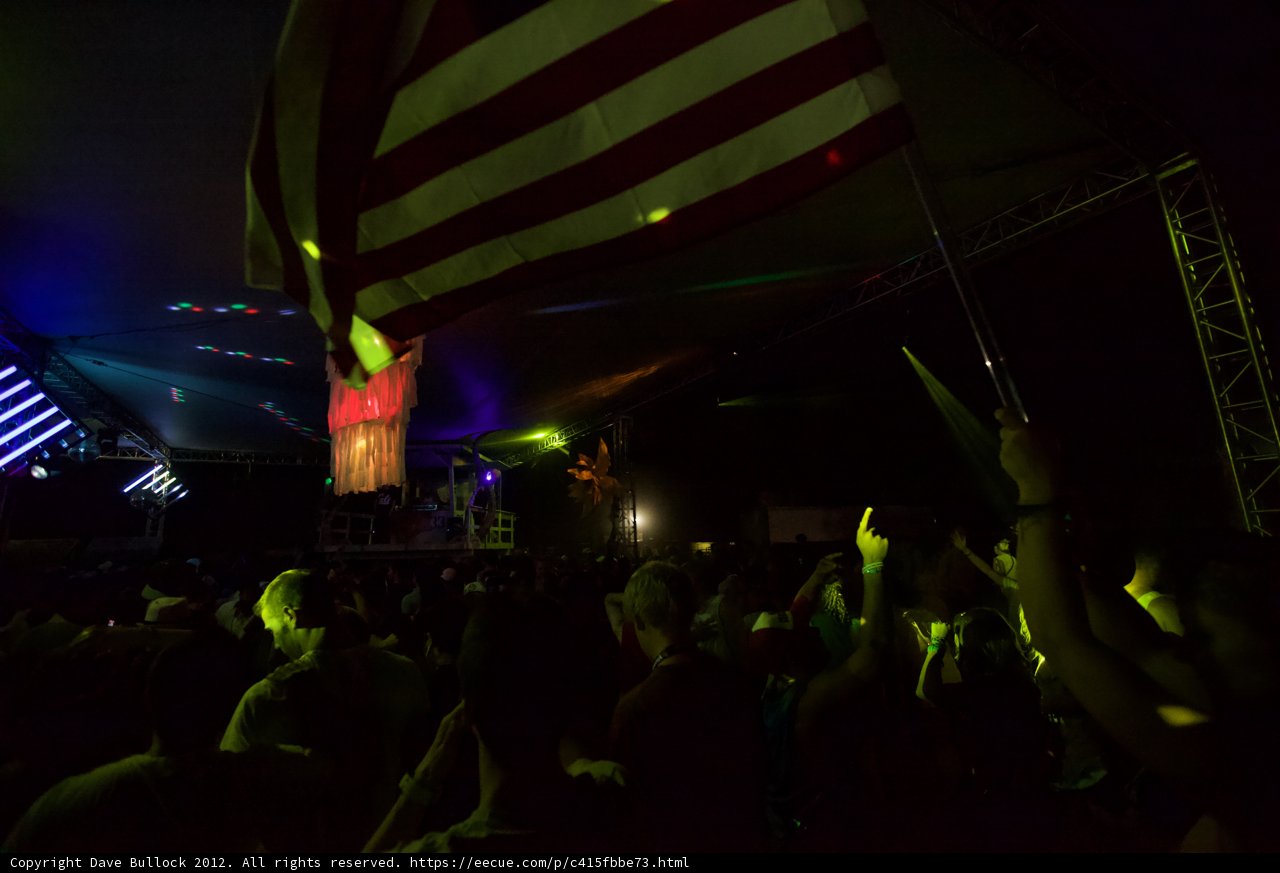 Patriotic Crowd at Coachella Concert