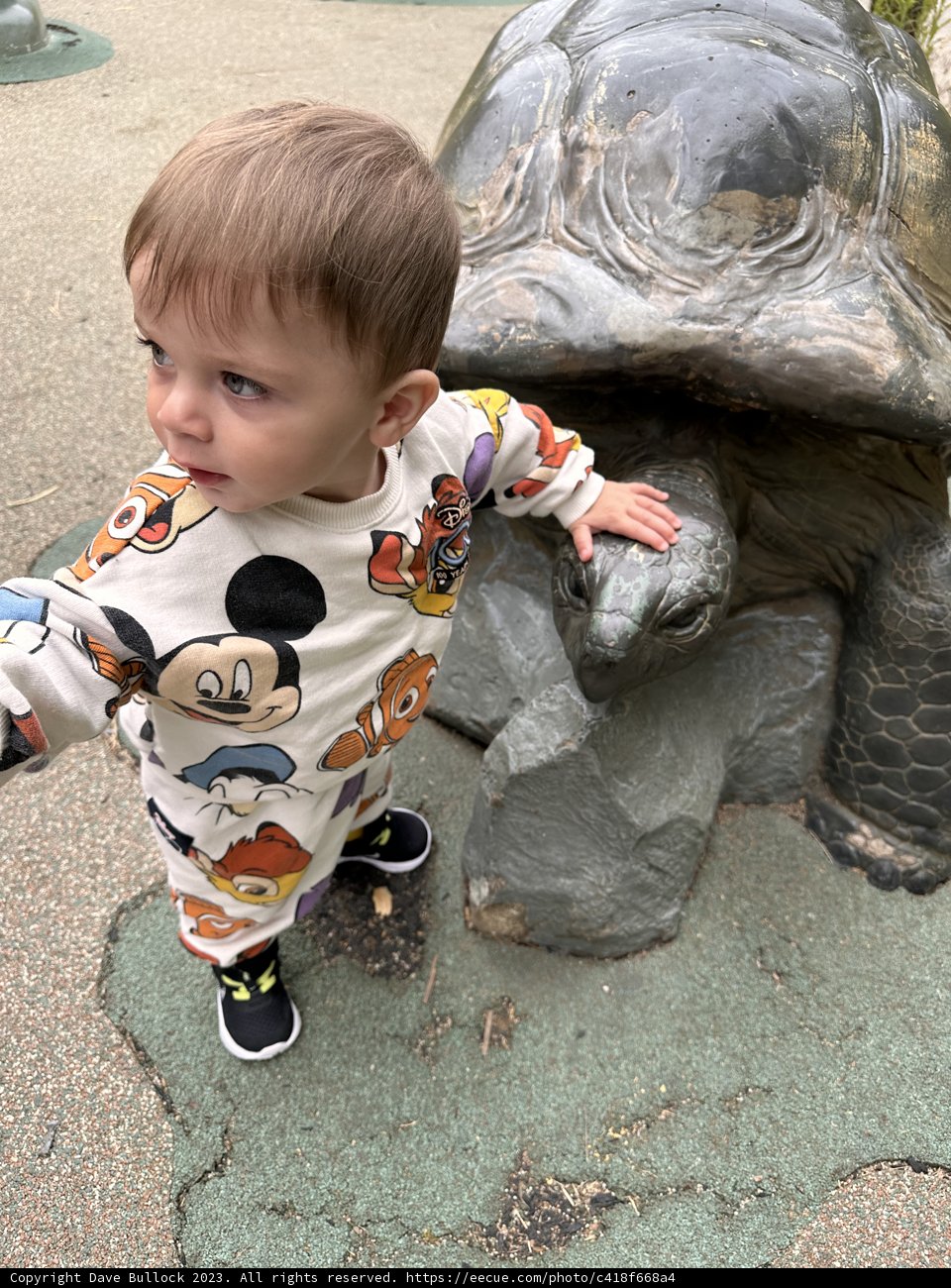 Wesley and the Turtle Statue: A Day at Oakland Zoo
