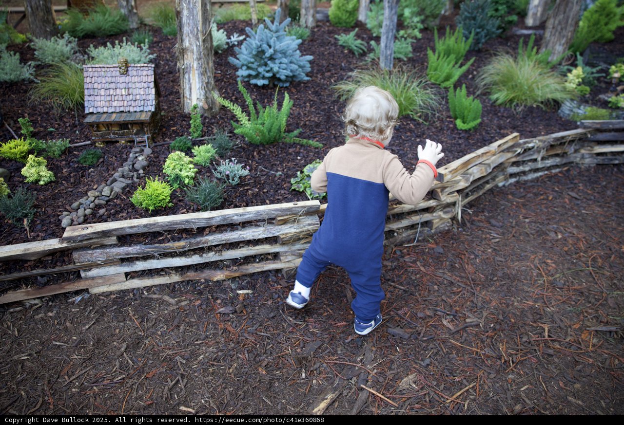 Curious Steps in Thistlewyck