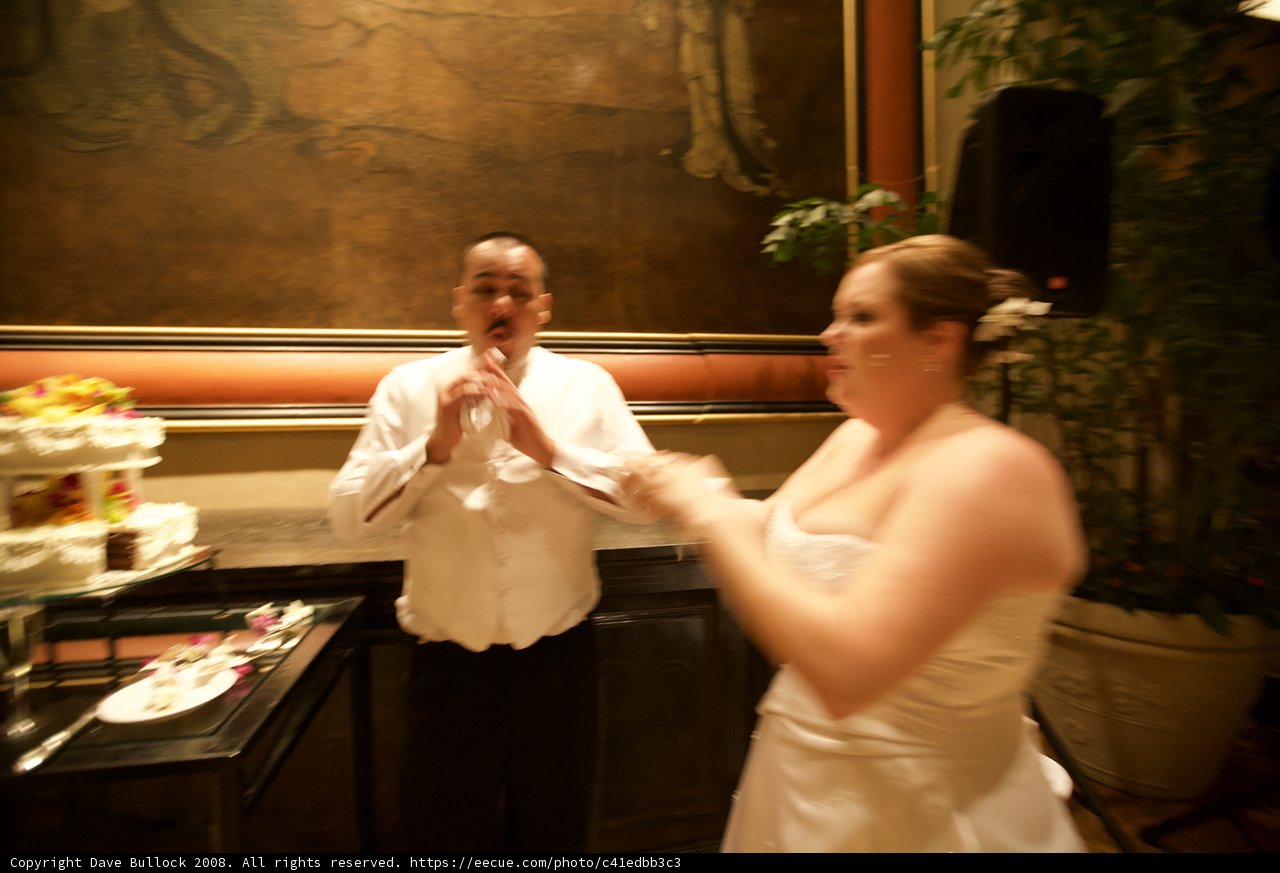 Wedding Cake Cutting Ceremony