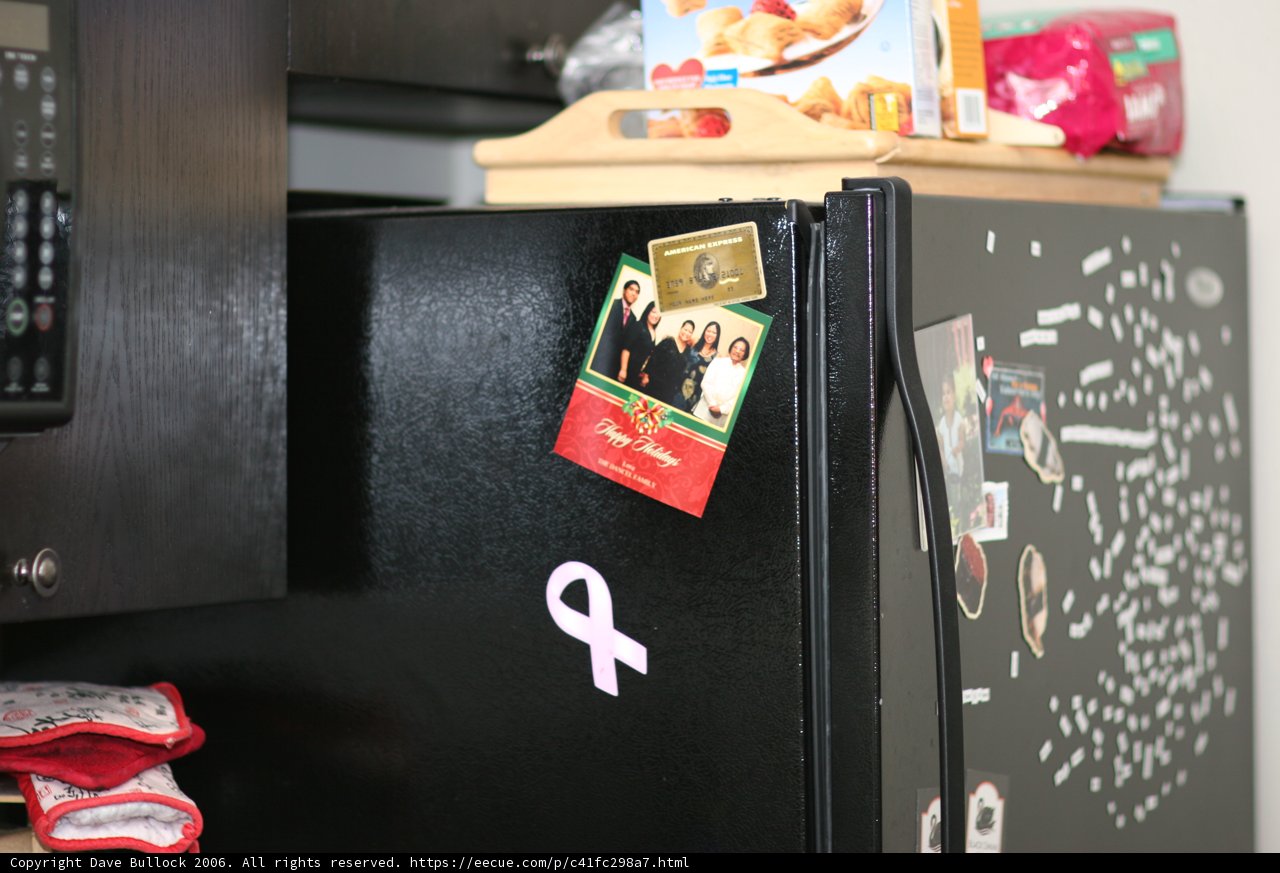 Magnetic Fridge Adds Charm to Kitchen