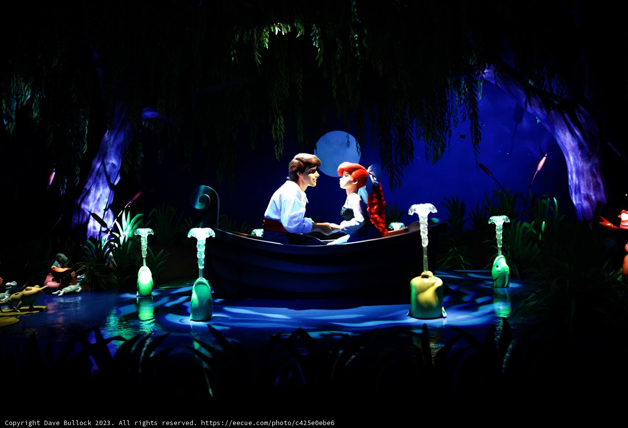 A Magical Encounter at Disneyland