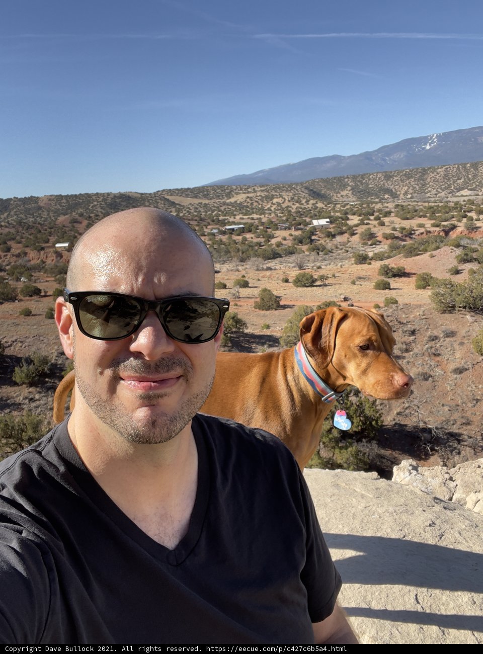 Selfie Time with My Pup