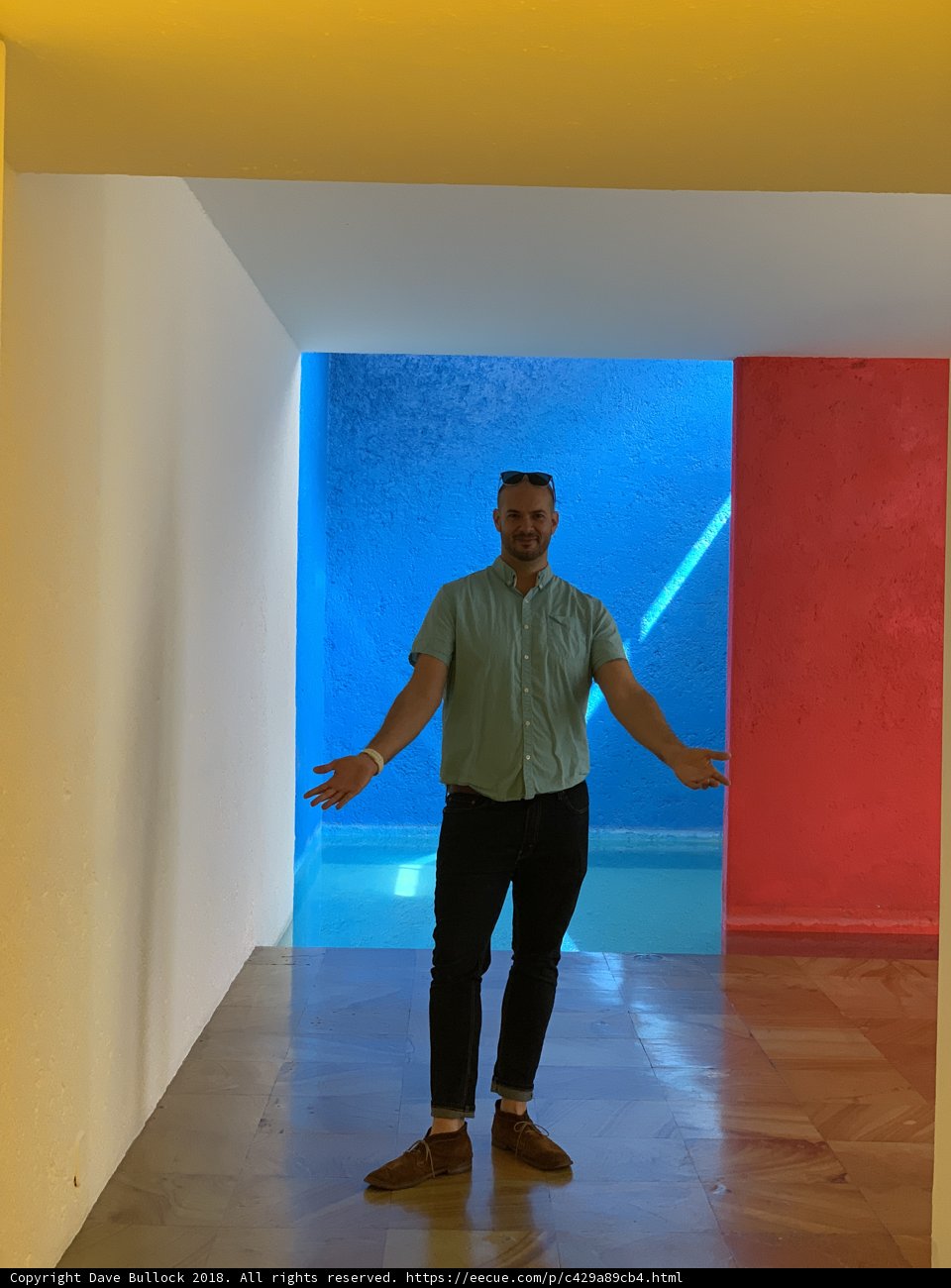 The Man in Blue Room