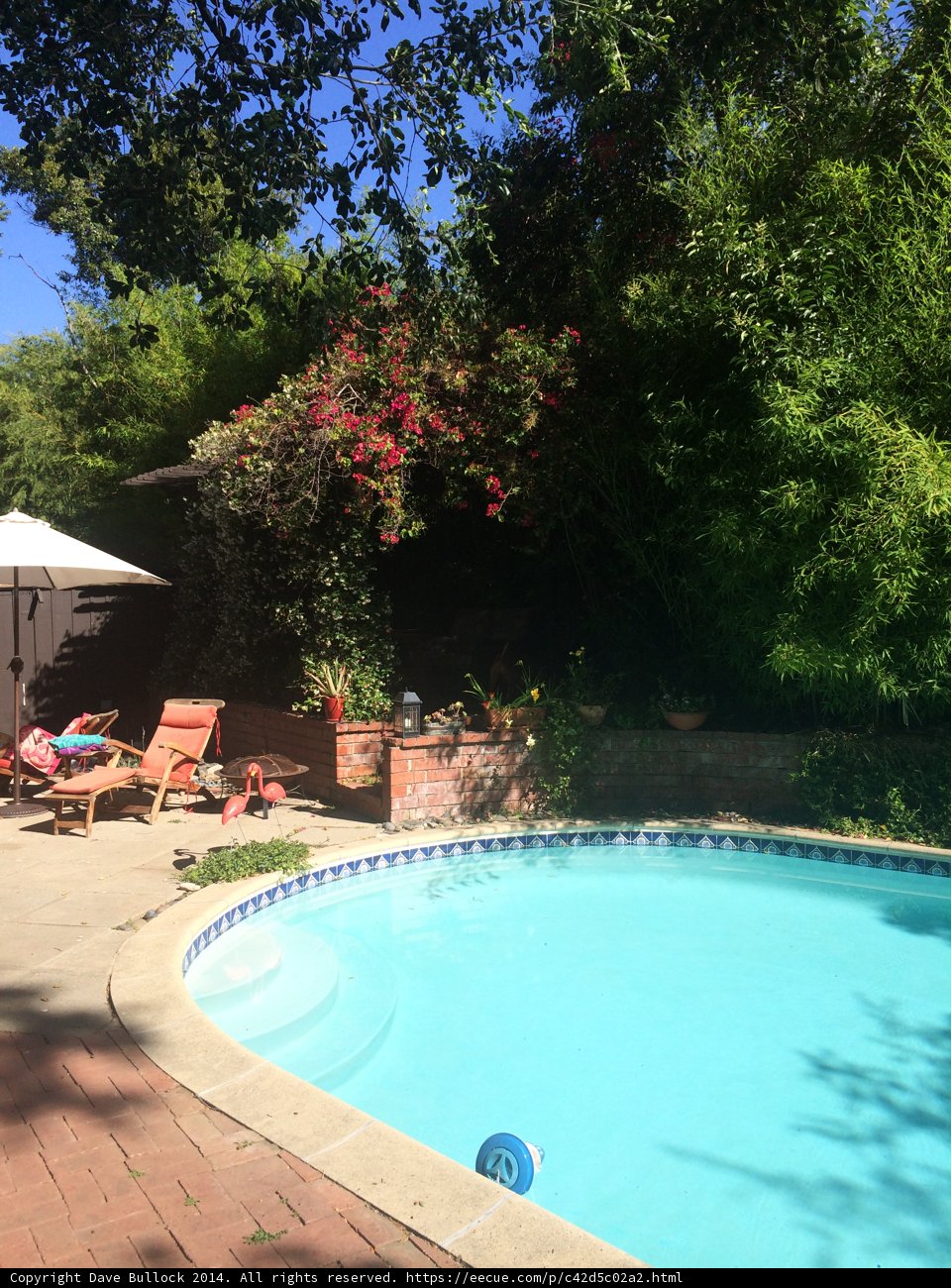 Relaxing Day by the Pool