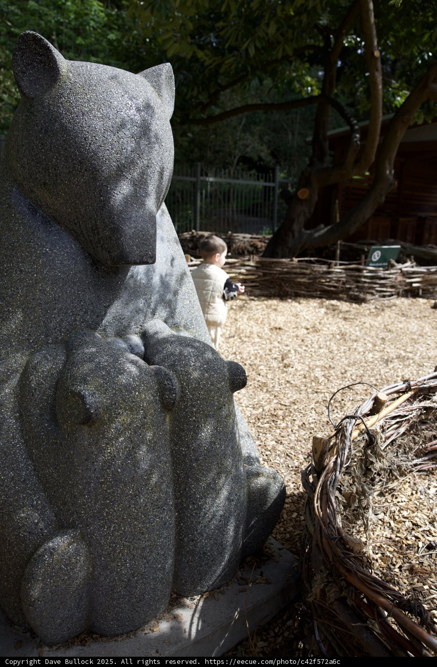 Curious Encounters in Stone and Nature