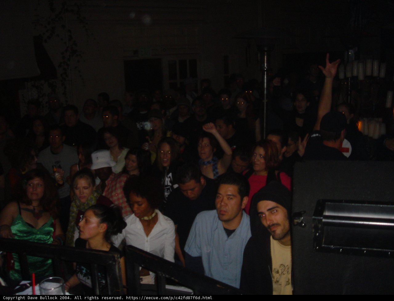 Nightclub Vibes