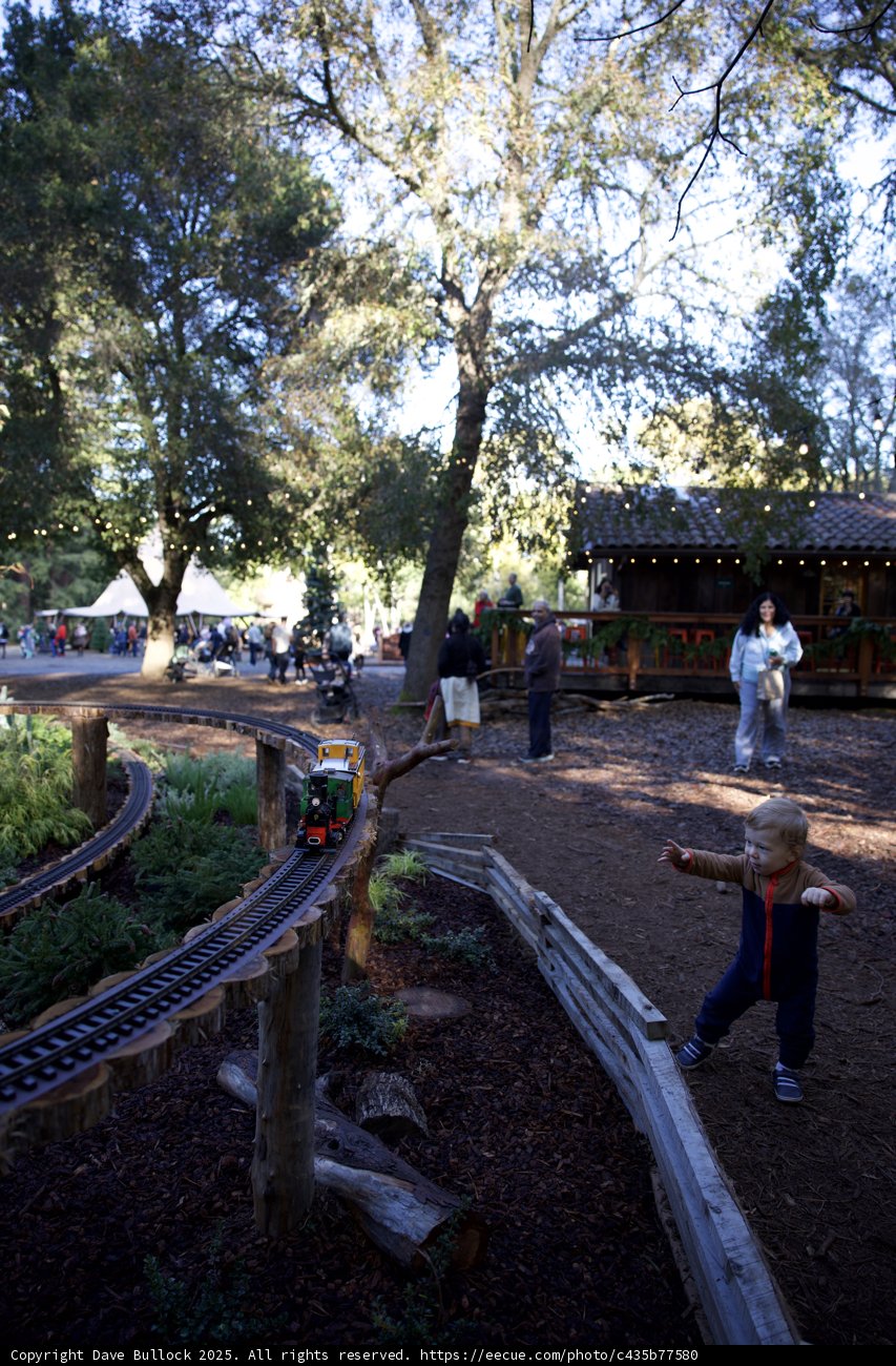 Whimsical Woodland Adventure