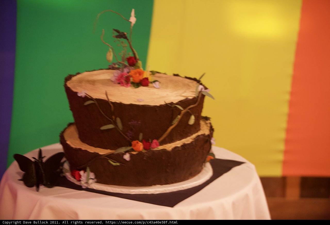 Wedding Cake Blooming with Flowers