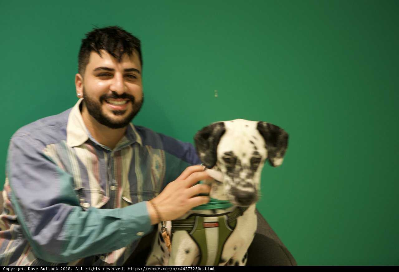 Man's Best Friend