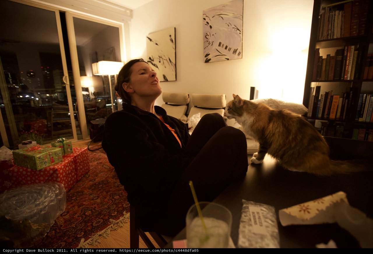 Woman and Cat Share a Cozy Christmas Eve Moment