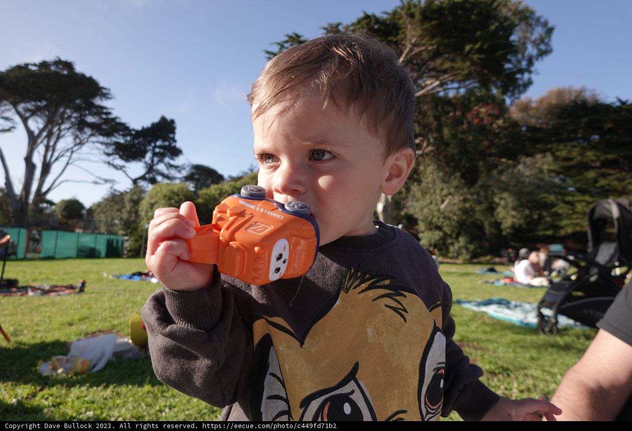 Innocent Adventures: A Day in the Park