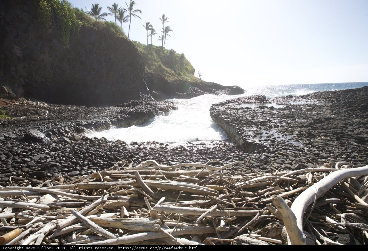 Driftwood and Rocks on the Shoreline