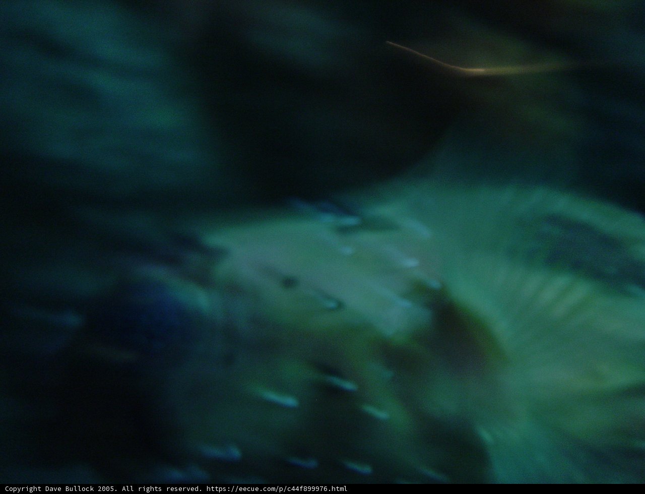 Water World