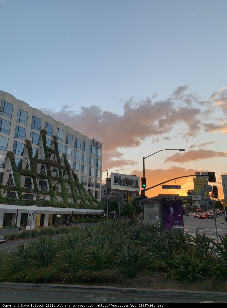 The Green Roof Building in the Metropolis