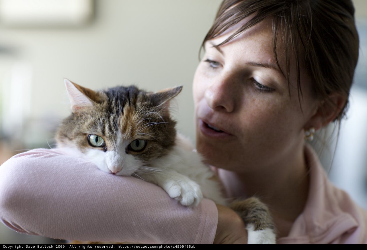 Woman Shares Tender Moment with Tabby Cat