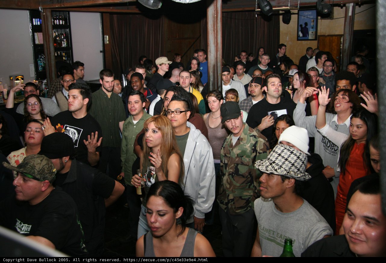 High Energy Party Crowd